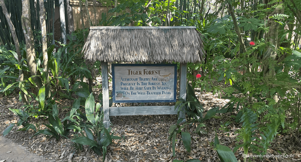 Tha Maharaja Jungle Trek in Disney's Animal Kingdom is one of my top 5 quiet places at Disney World